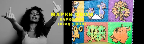 МДПВ Пересвет