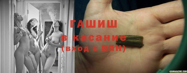 МДПВ Пересвет