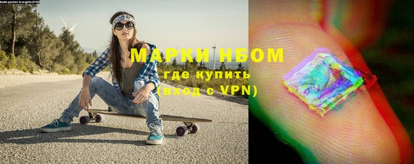 МДПВ Пересвет