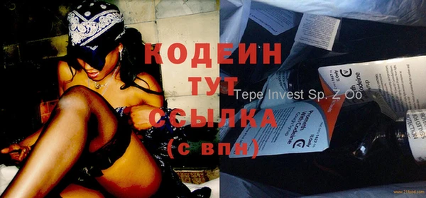 МДПВ Пересвет